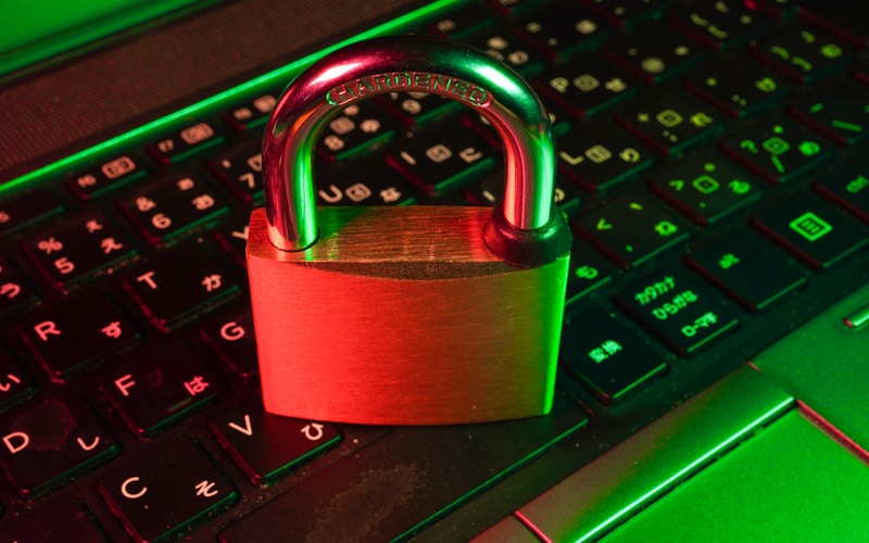 Data Privacy and Safety